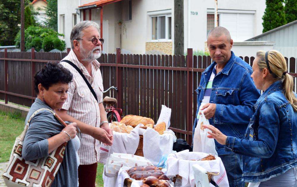 SZATYOR TERMELŐI UDVAR 
