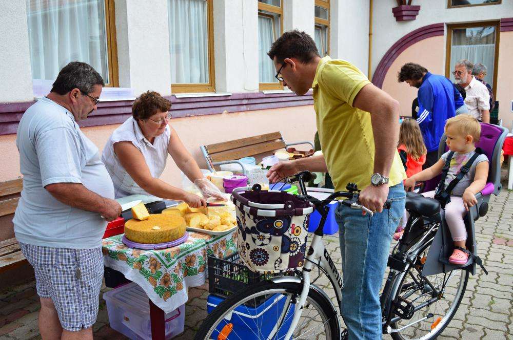 SZATYOR TERMELŐI UDVAR 