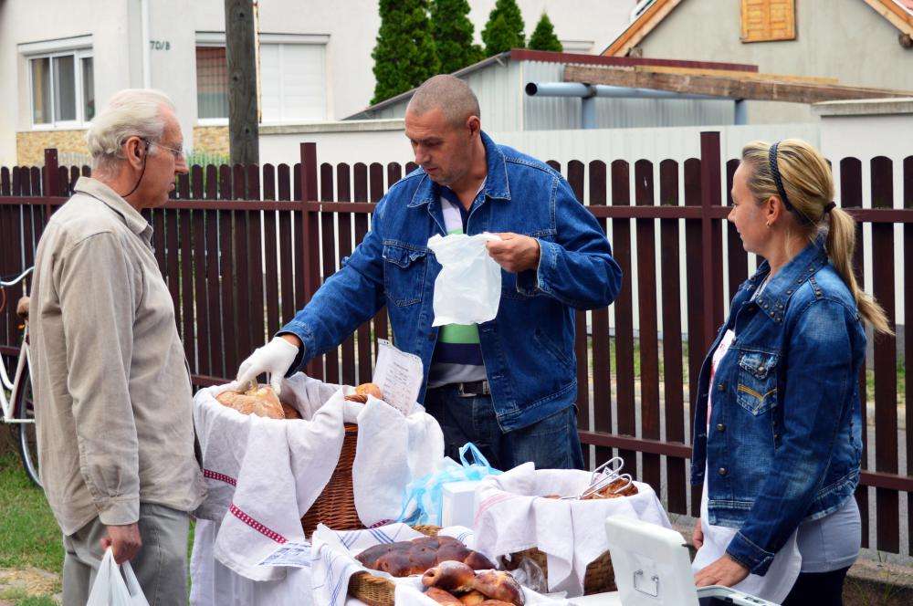 SZATYOR TERMELŐI UDVAR 