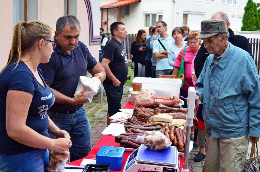 SZATYOR TERMELŐI UDVAR 