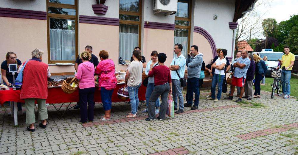 SZATYOR TERMELŐI UDVAR 