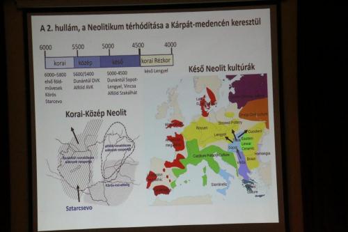 Archeogenetikai vizsgálataink – nemzetközi összehasonlításban