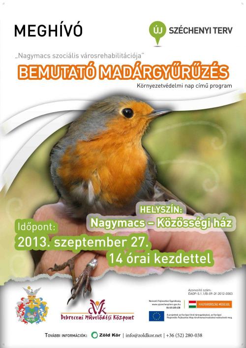 Bemutató madárgyűrűzés