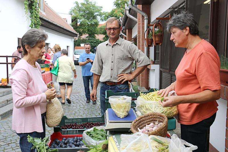 SZATYOR TERMELŐI UDVAR