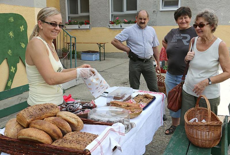 SZATYOR TERMELŐI UDVAR