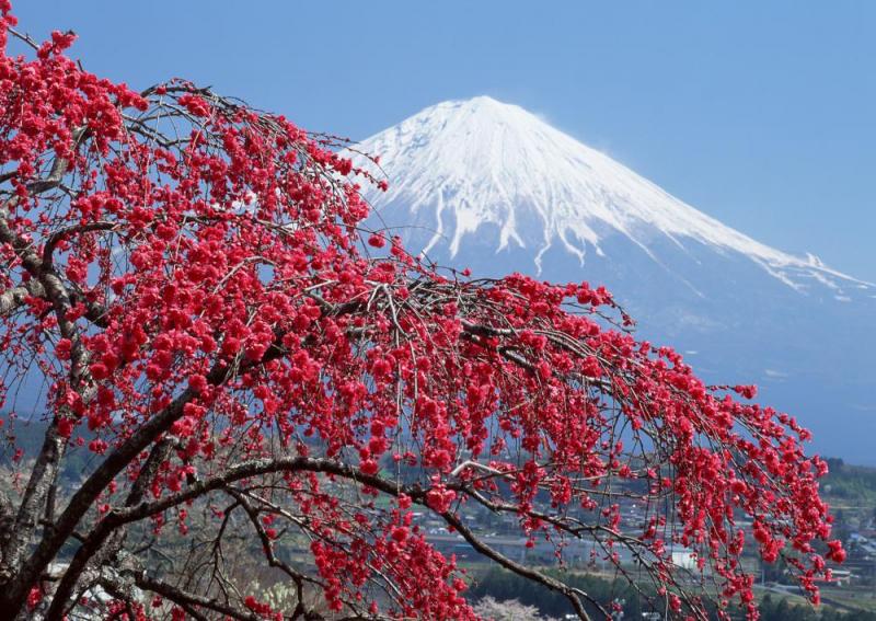 Japán