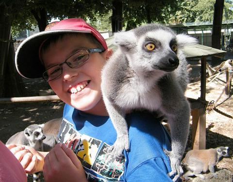 KALANDO-ZOO TERMÉSZETBARÁT TÁBOR