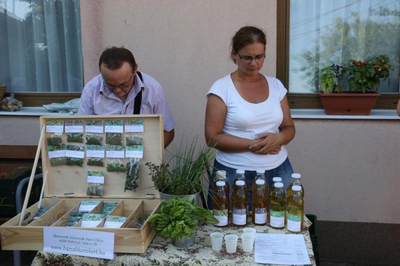 SZATYOR TERMELŐI UDVAR