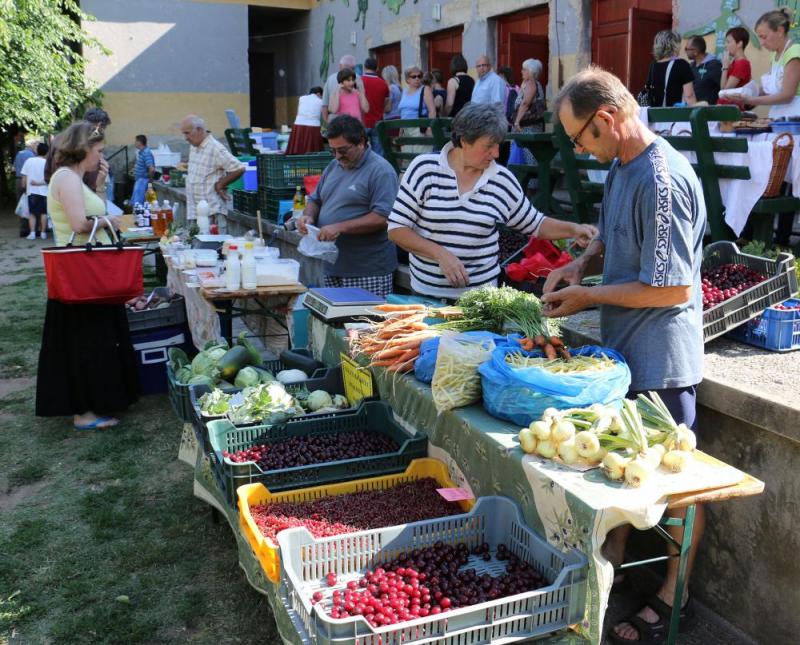 SZATYOR TERMELŐI UDVAR