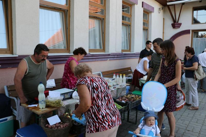 SZATYOR TERMELŐI UDVAR