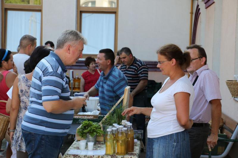 SZATYOR TERMELŐI UDVAR