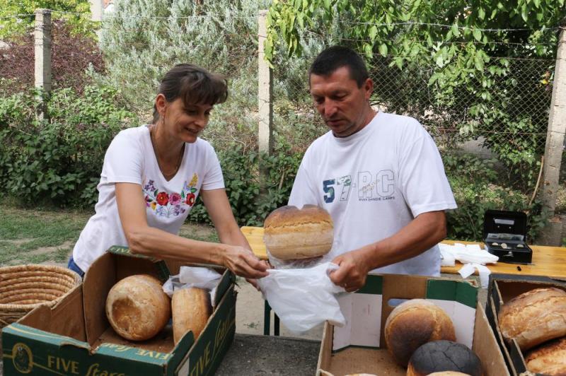 SZATYOR TERMELŐI UDVAR