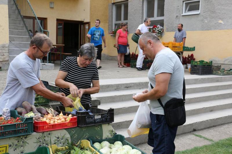 SZATYOR TERMELŐI UDVAR