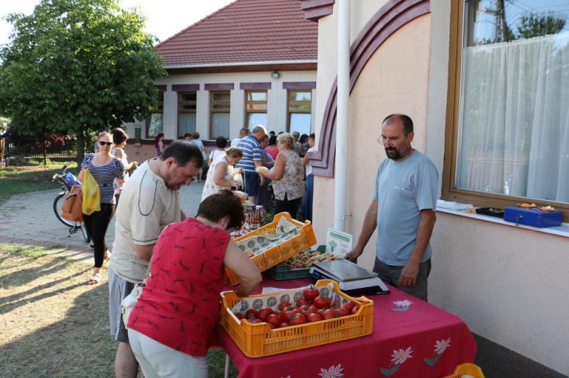 SZATYOR TERMELŐI UDVAR