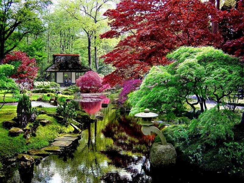 JAPÁN ÉS CSODÁLATOS KERTJEI