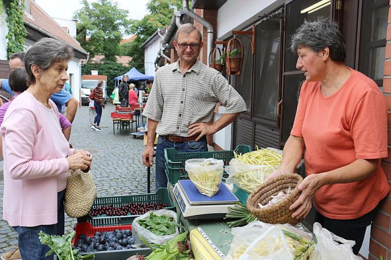 SZATYOR TERMELŐI UDVAR
