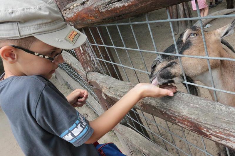 KALANDO-ZOO TERMÉSZETBARÁT TÁBOR
