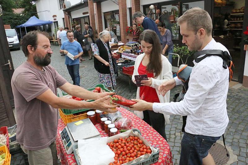 SZATYOR TERMELŐI UDVAR 