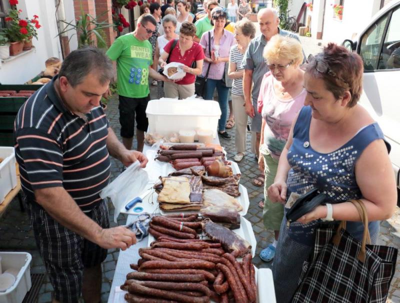 SZATYOR TERMELŐI UDVAR 