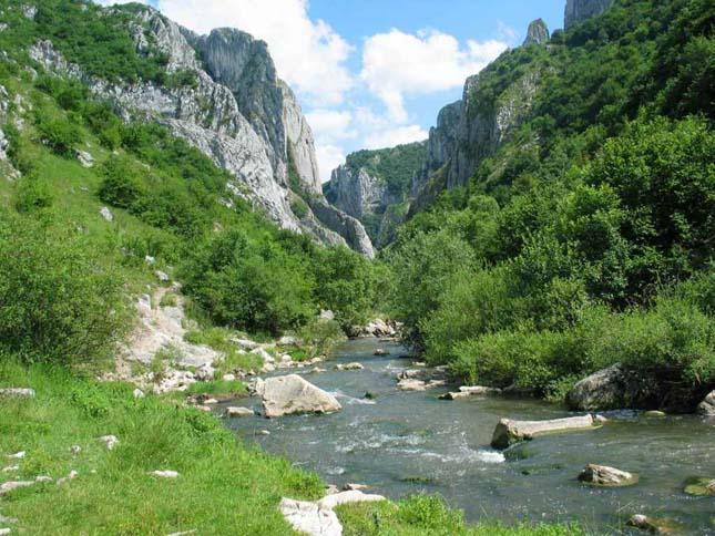 54. TERMÉSZETBARÁT HÉT 
