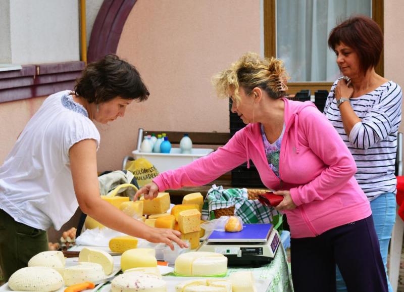 SZATYOR TERMELŐI UDVAR