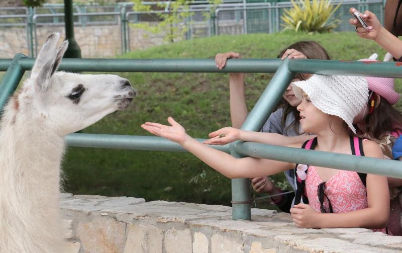 KALANDO-ZOO TERMÉSZETBARÁT TÁBOR