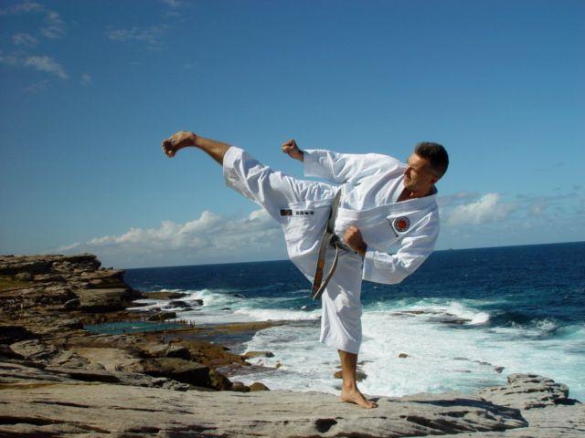 SHOTOKAN NAP