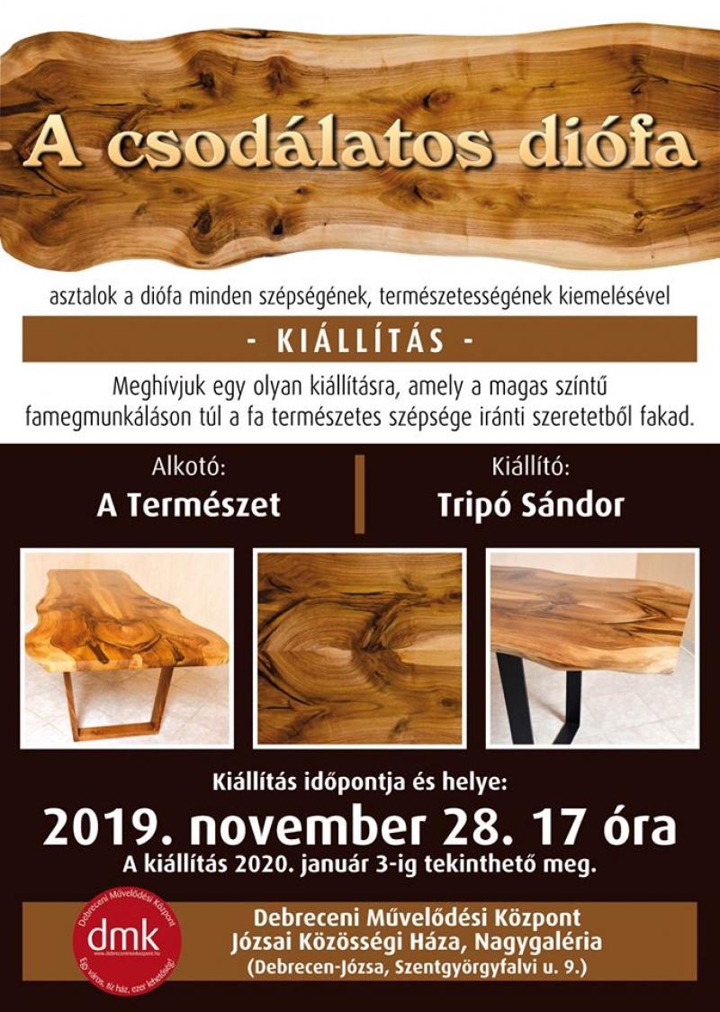 A CSODÁLATOS DIÓFA